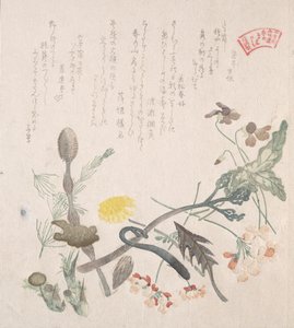 Violettes, primevères et autres fleurs de printemps, 19ème siècle - Kubo Shunman