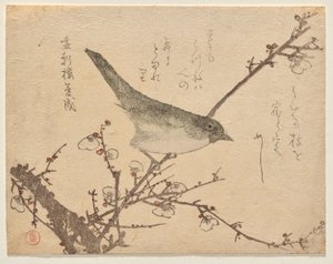 Paruline sur une branche de prunier - Kubo Shunman