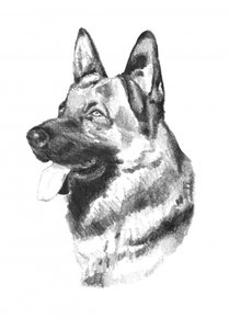  - Kulik