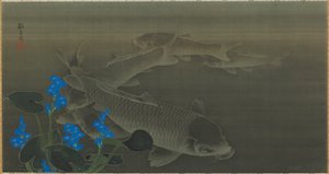 Carpe, période Edo, début XIXe siècle - Kuroda Toko