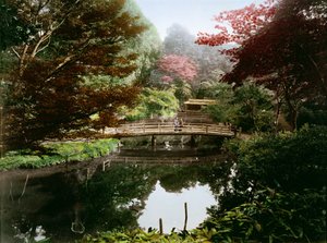 Jardin ornemental japonais en fleurs