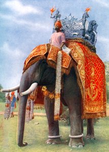 Un éléphant majestueux lors de la principale fête du Bengale, Inde