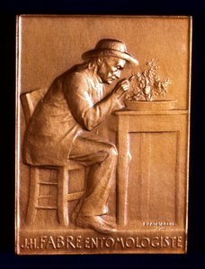 Jean Henri Fabre, entomologiste français - L. Patriarche