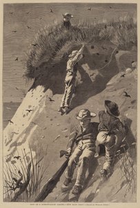 Raid sur une Colonie d