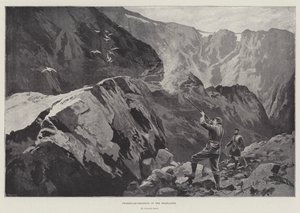 Chasse au lagopède dans les Highlands