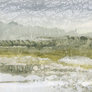 Paysage verdoyant et brumeux