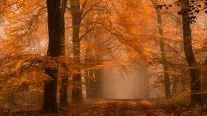  - Lars van de Goor †