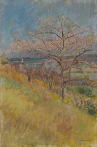 Vallée avec arbres en fleurs, 1890-1900 - Laszlo Mednyanszky
