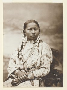 Faon tacheté, mariée Cheyenne