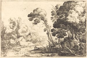 Paysage boisé avec une rivière