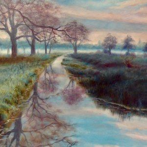 Bushy Park, 2020