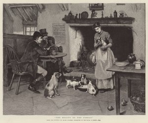 La beauté de la famille - Leghe Suthers