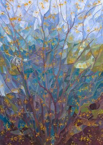 Noisetier en fleur, 2015