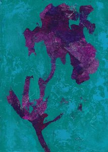 Abstrait : Iris violet