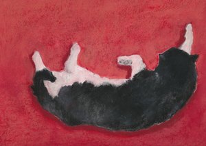 Chien joyeux sur fond rouge