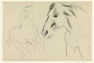 Cheval galopant et tête de cheval
