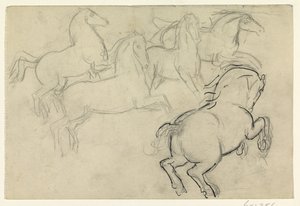 Chevaux galopant