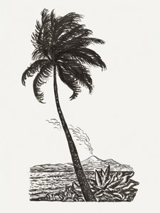 Un palmier et une île (vers 1891–1941)