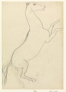 Cheval cabré sans crinière