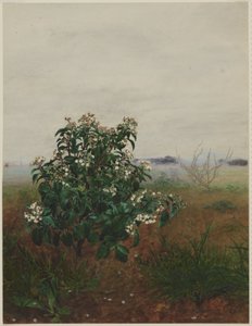  - Léon Bonvin