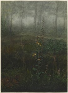 Molène grise dans le sous-bois - Léon Bonvin