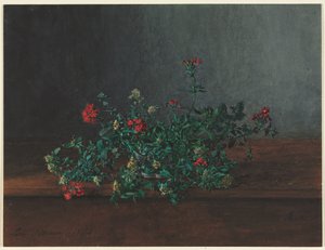 Nature morte avec des fleurs sauvages