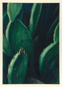 Émeraudes (Cactus)