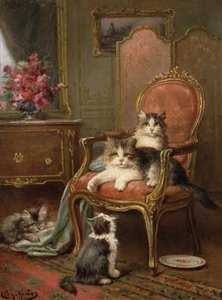La chaise favorite