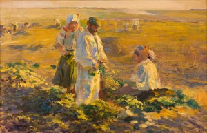 Arrachage de betteraves - Leon Wyczolkowski