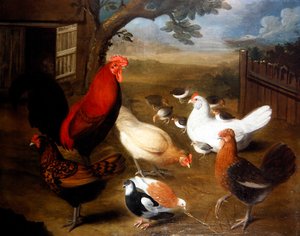 Une scène de cour de ferme avec un coq