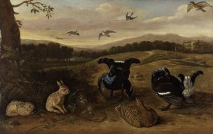 Gibier noir, lapins et hirondelles dans un parc, vers 1700 - Leonard Knyff