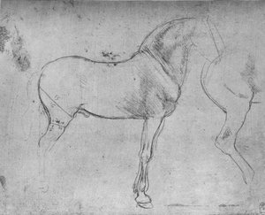 Un cheval de profil à droite et ses quartiers arrière, vers 1480