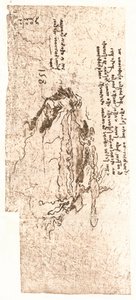 Carte représentant la mer Méditerranée, vers 1472-1519, 1883 - Leonardo da Vinci