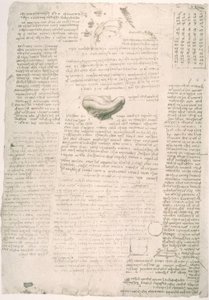 Études anatomiques - Leonardo da Vinci