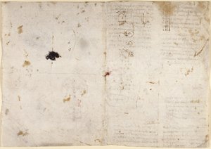 Dessins sur les pouvoirs et forces mécaniques, percussion, gravité, mouvement, optique et astronomie, avec diverses propositions arithmétiques et géométriques