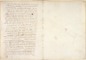 Arundel 263, f.57v, f.46 Notes sur l
