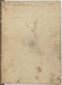 Code sur le vol des oiseaux - Leonardo da Vinci