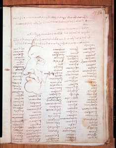 Codex Trivulziano de Léonard de Vinci (1452-1519) - Bibliothèque Trivulziana, Milan - Leonardo da Vinci