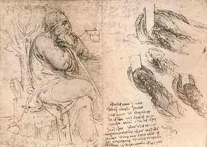 Dessin illustrant la représentation des cheveux tombant en boucles, vers 1472-vers 1519 1883