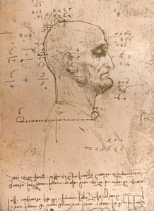 Dessin de la tête d