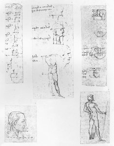 Cinq dessins illustrant la théorie des proportions de la figure humaine, vers 1472-1519 1883