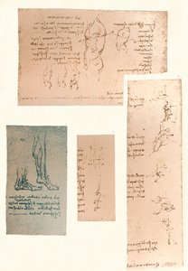 Quatre dessins illustrant la théorie des mouvements de la figure humaine, vers 1472-1519