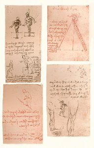 Quatre dessins illustrant la théorie des mouvements de la figure humaine, vers 1472-1519, 1883