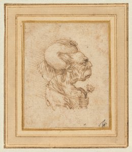  - Leonardo da Vinci