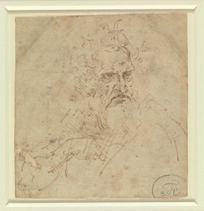  - Leonardo da Vinci