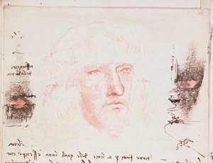 Notes sur les changements de direction en vol, page manuscrite de Codici Rari III 35.2, fol. 10v du Traité sur le vol des oiseaux, 1505 - Leonardo da Vinci