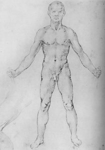 Homme nu avec les bras étendus, vu de face, vers 1480, 1945