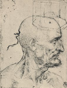 Profil à droite d