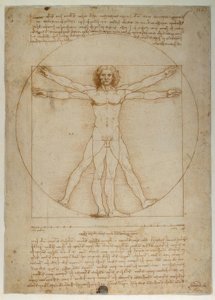 Schéma des proportions de la figure humaine selon Vitruve - Leonardo da Vinci