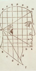 Étude de proportions de la tête humaine - Leonardo da Vinci
